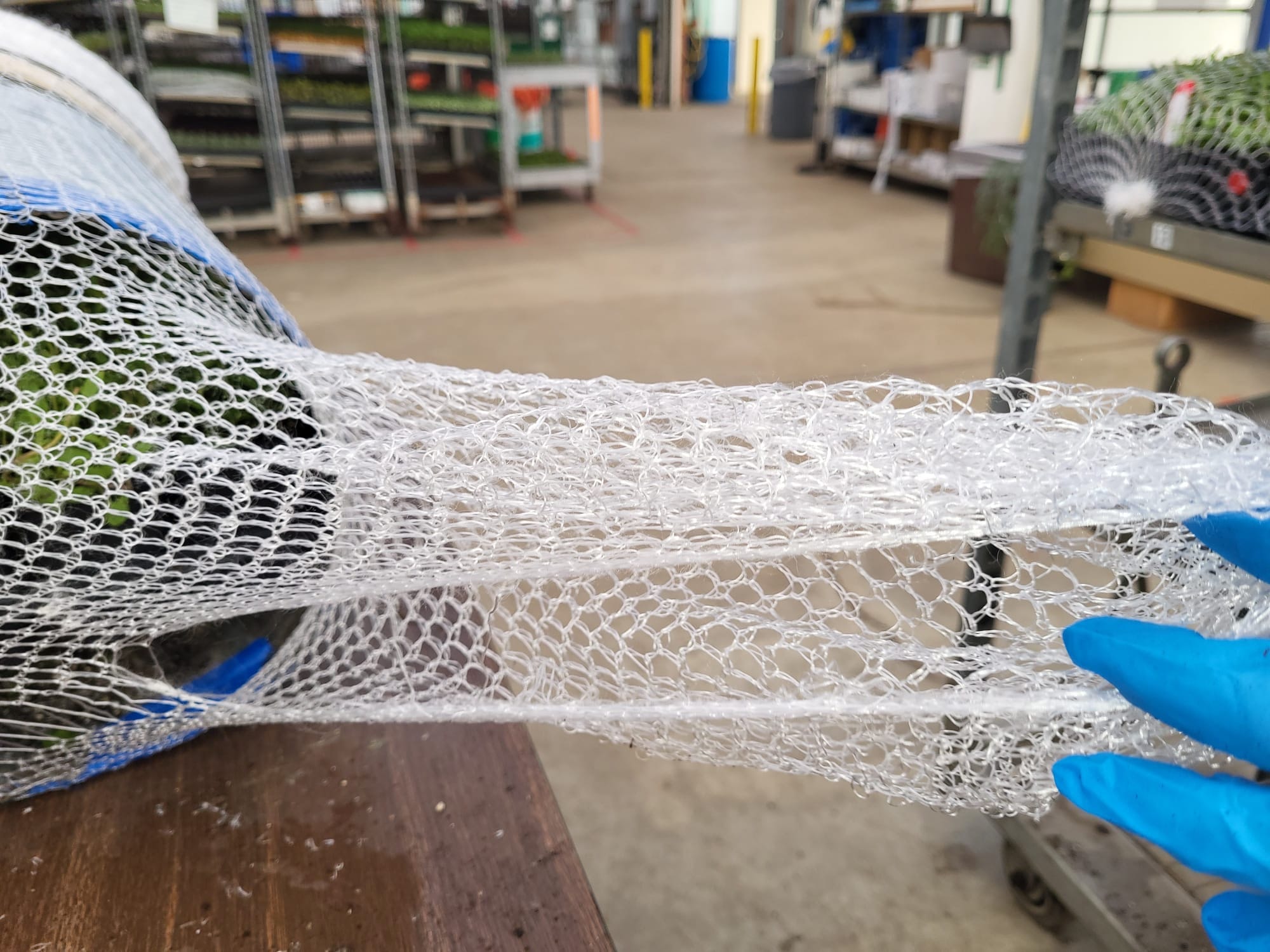 Nursery plant protected with knitted netting sleeve